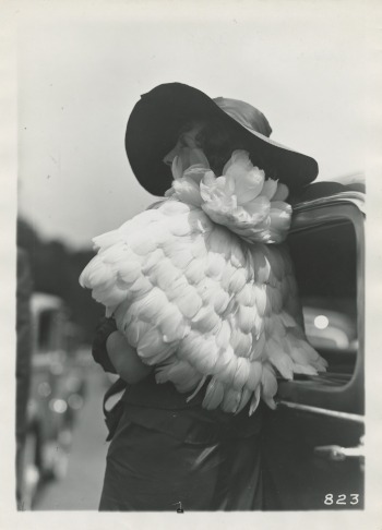 Miniature d'une inconnue avec un haut à plumes et chapeau, photo Frères Séeberger